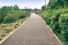 園林景觀道路