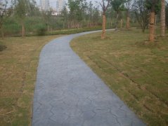 園林道路-彩色透水地坪